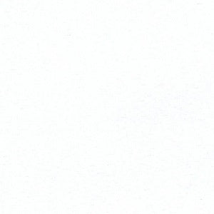 Broadcloth - White 60"