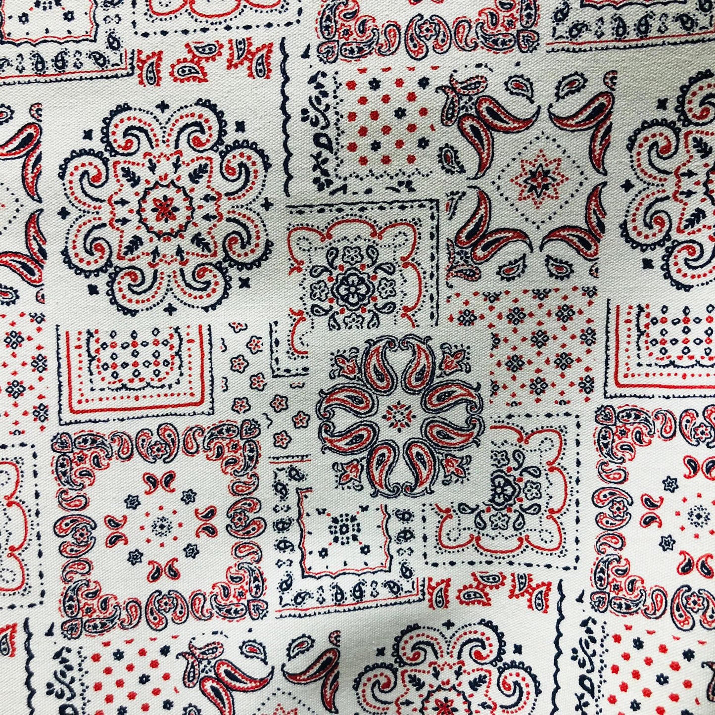 Sevenberry Cotton Print - Paisley RWT