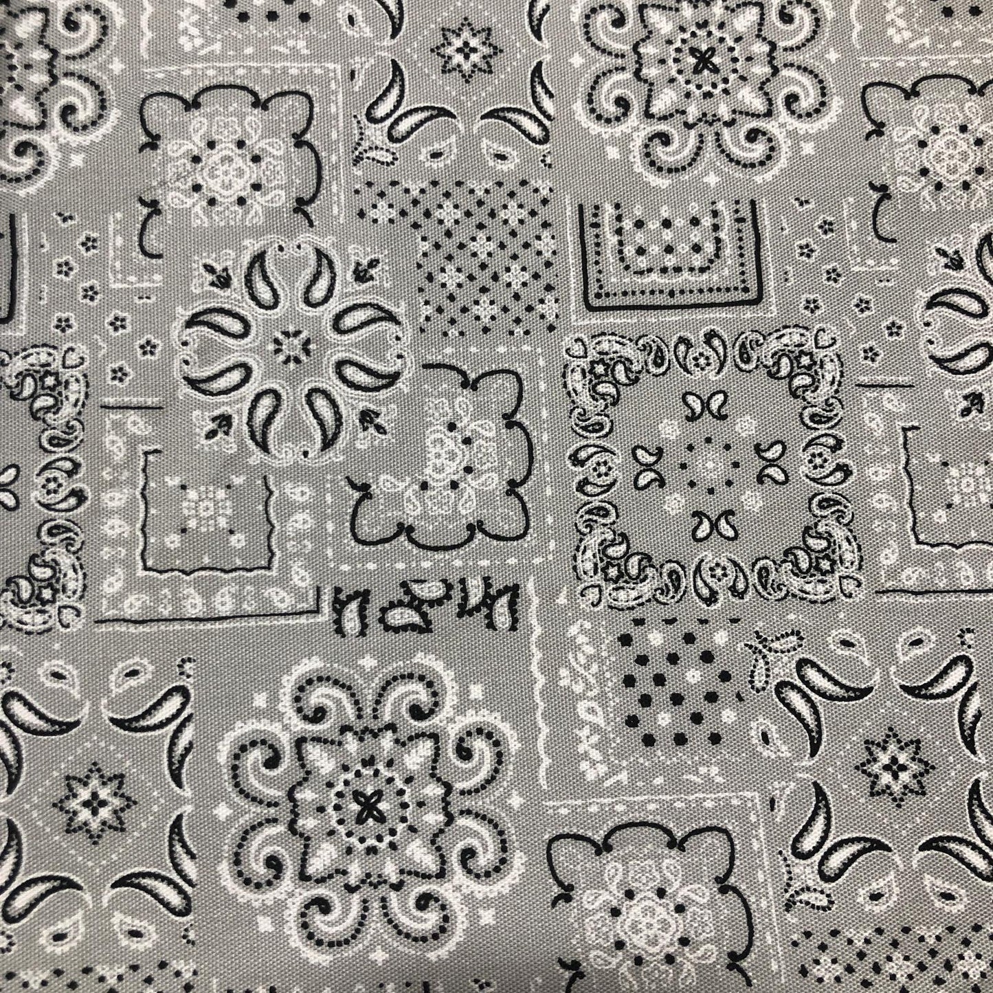 Sevenberry Cotton Print - Paisley GRY