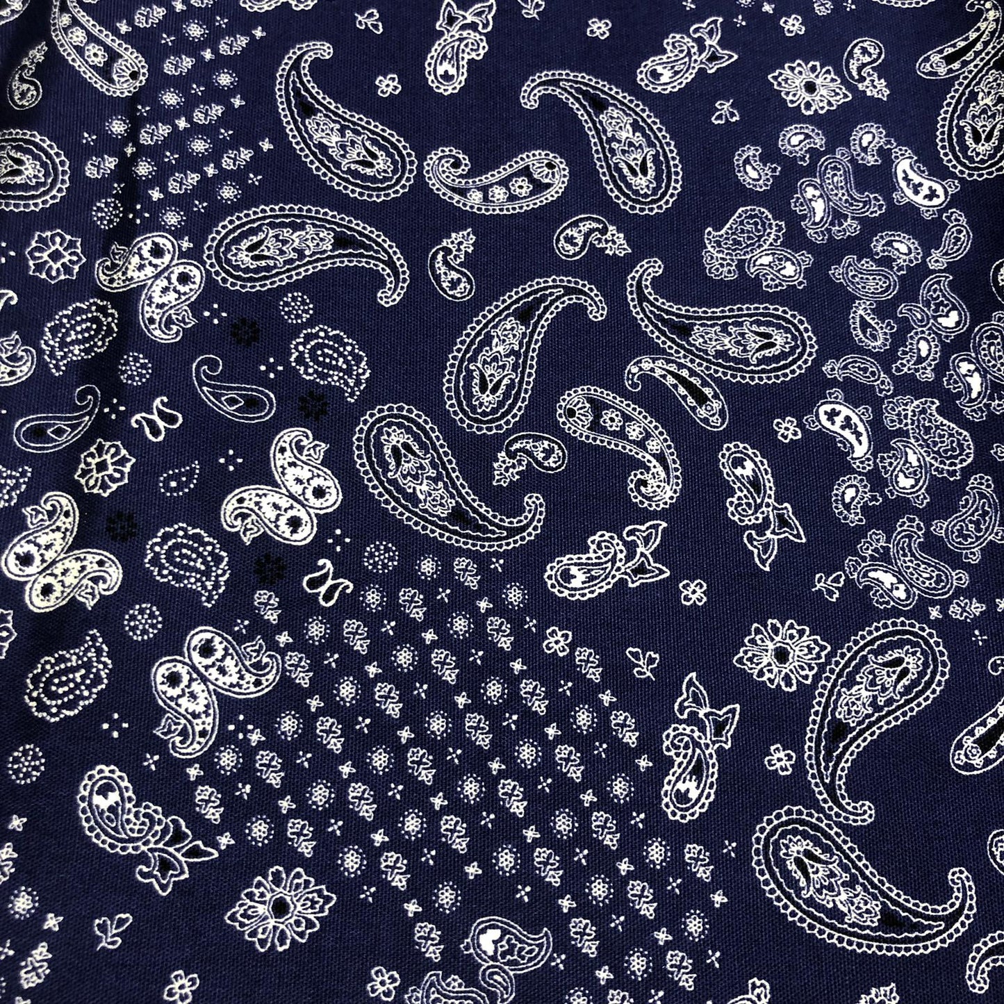 Sevenberry Cotton Print - Paisley RYL