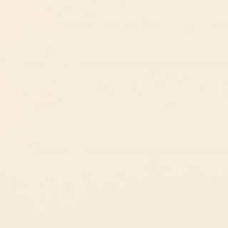 PolyCotton/Goodtime Twill - Off White